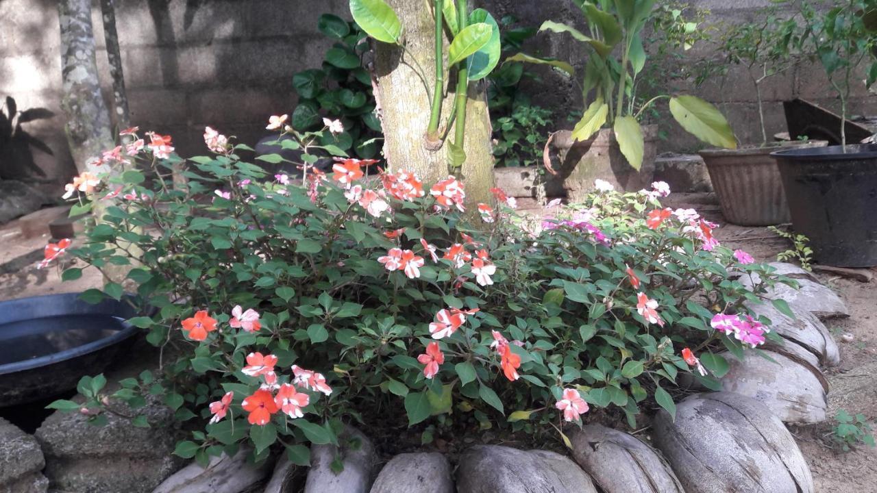 Villa Vidura Bataduwa Buitenkant foto